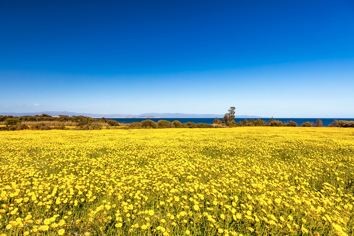 EdenSardegna turismo rurale capoterra